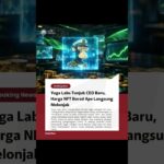 Yuga Labs Tunjuk CEO Baru, Harga NFT Bored Ape Langsung Melonjak