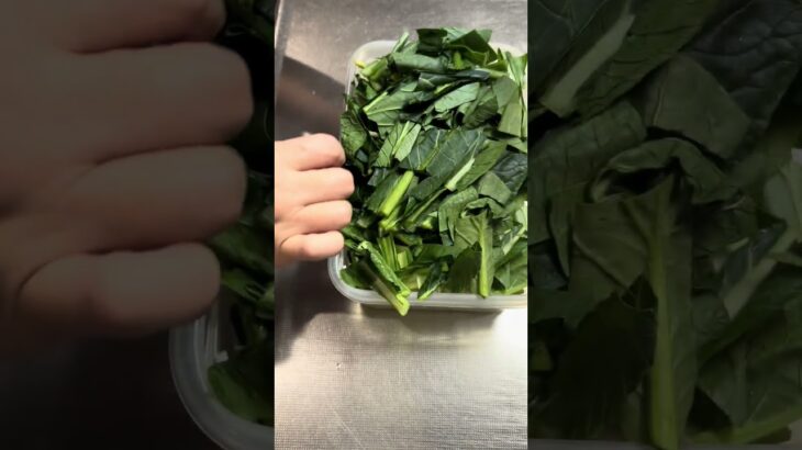 もやしと小松菜のナムル＼糖尿病家のキッチン／ #糖尿病 #高血圧 #脂肪肝 #料理動画 #簡単レシピ #小松菜 #もやし #ダイエット #cooking #おうちごはん #副菜