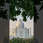 #hijab #beautiful #emiwaybantai #nft #comedyshorts #hijab #anirudh @MD_AMIR-A786