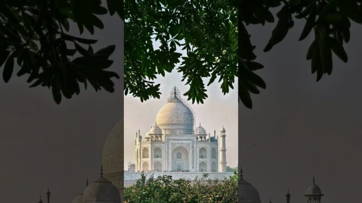 #hijab #beautiful #emiwaybantai #nft #comedyshorts #hijab #anirudh @MD_AMIR-A786