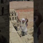 #nature #military #nft