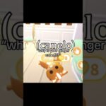 nft for a reason, there’s truly no one like him 🥹 #cat #adoptme #youtubeshorts #orangecat #trending