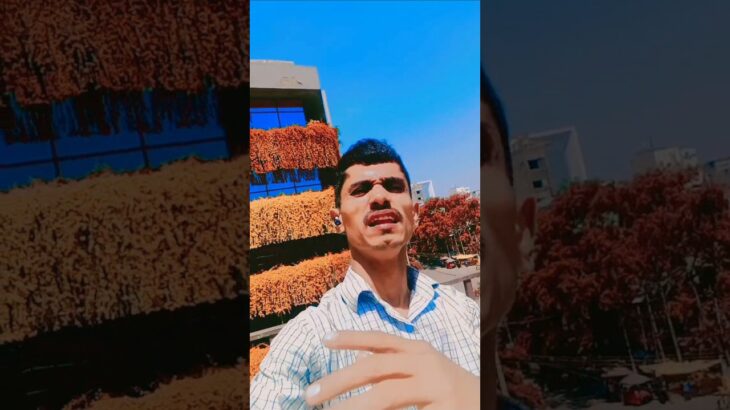 #nft #original #youtuber #bhojpuri #hit #song #chaudhari -official50