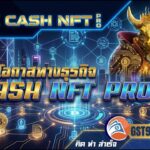 การประชุม opp onlineเปิดโอกาสความร่ำรวย oxcash nft pro v.3