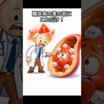 糖尿病の薬の前にこれだけ！