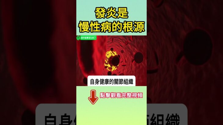 不是小問題！慢性發炎正在悄悄引發心臟病、糖尿病，甚至癌症【高年級實習生來了】