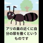 それ、糖尿病のサインかも！#糖尿病 #生活習慣病 #健康 #健康生活