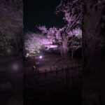 姫路城 #糖尿病 #透析 #姫路市