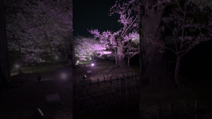 姫路城 #糖尿病 #透析 #姫路市