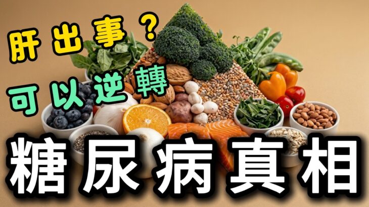胰島素原本幾乎不用錢？｜二型糖尿病可以逆轉，關鍵竟然在肝臟？｜越早發現，越容易改善