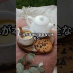 糖尿病に良いと聞いて毎日シナモンを食べていませんか？肝臓を壊す「偽物のシナモン」に要注意！