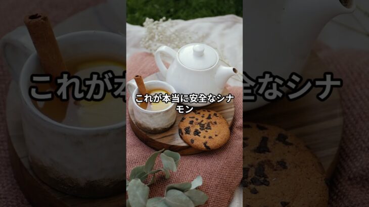 糖尿病に良いと聞いて毎日シナモンを食べていませんか？肝臓を壊す「偽物のシナモン」に要注意！
