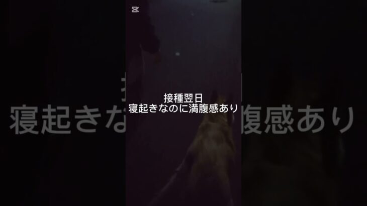 痩せるかな？#糖尿病#マンジャロ