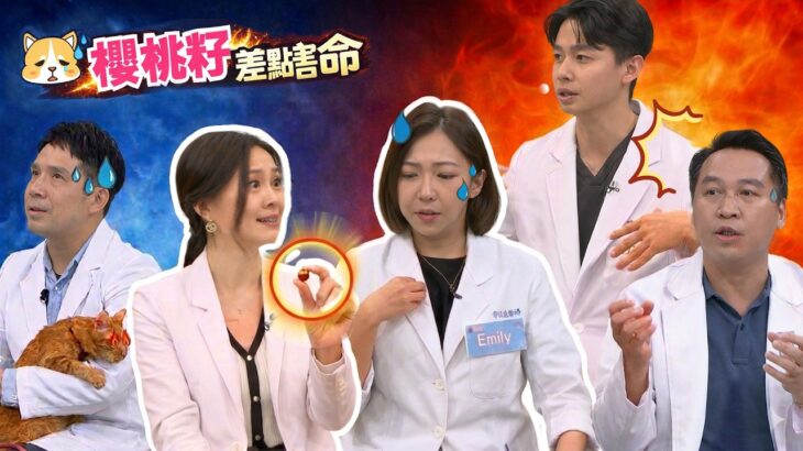 【毛孩保養】糖尿病、異物誤食怎麼辦？專業醫師一次說清楚！｜醫學大聯盟 精選