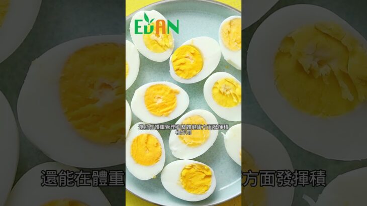 每天攝取雞蛋不僅有助於改善心臟健康、降低糖尿病風險，還能在體重管理#艾門享受健康計畫 #飲食計畫 #減肥 #瘦身 #健康  #蔬果漾 #優菌多 #亮妍肌漾