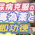 糖尿病克服の変毒為薬と難即功徳