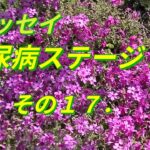 糖尿病ステージⅡ．その１７．抗がん剤点滴をおえて１６か月すぎた。