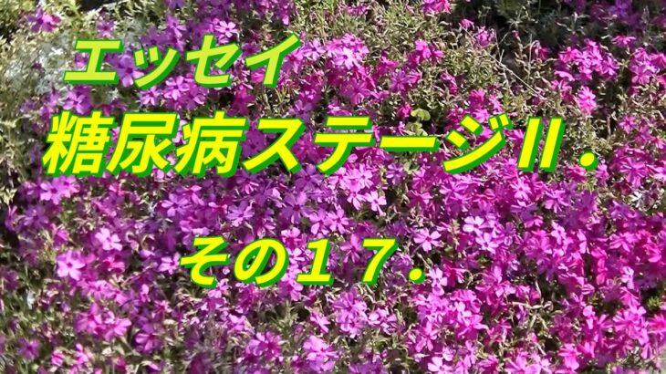 糖尿病ステージⅡ．その１７．抗がん剤点滴をおえて１６か月すぎた。