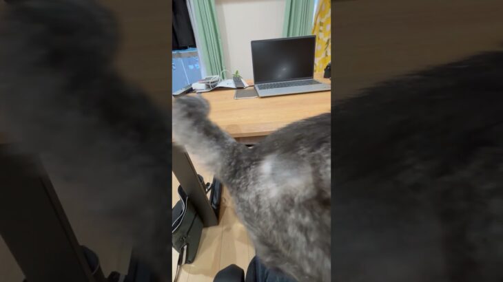 糖尿病の俊次郎にインスリン注射