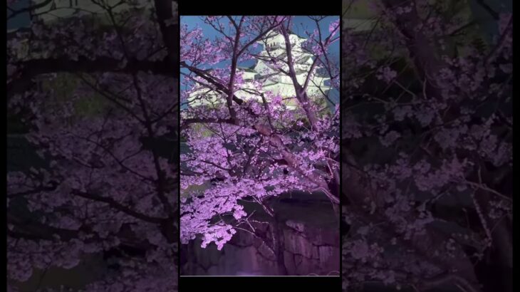 姫路城 #糖尿病 #透析