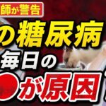 【獣医師が警告】猫の糖尿病、原因は“毎日のごはん”かもしれません