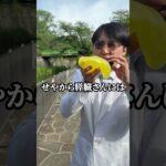 糖尿病が嫌な人はすい臓に残業させたらあかんで