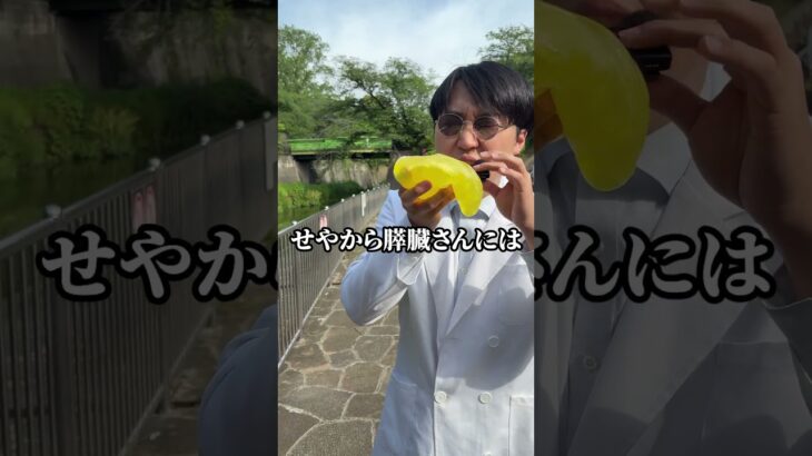 糖尿病が嫌な人はすい臓に残業させたらあかんで