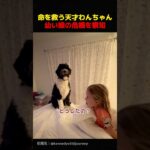 糖尿病介助犬の奇跡