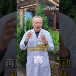 得了糖尿病到底能不能把药给停掉？ 很多糖尿病朋友经常问一个问题，我到底能不能把降糖的药给停掉？希望这个视频是大家能够对这个问题有一个清晰的认识，看看自己符合不符合条件，能不能停药，从而使大家的内…