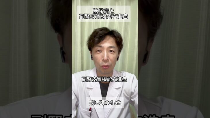 犬猫の糖尿病とクッシングの関係