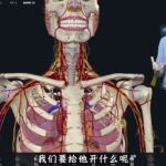 高血压、糖尿病为何可以对全身脏器无差别伤害？等有症状就晚了 高血压、糖尿病最好的治疗策略就是规律治疗，让指标平稳。#解剖学 #糖尿病 #高血压 #抖出健康知识宝藏 #健康科普破圈计划