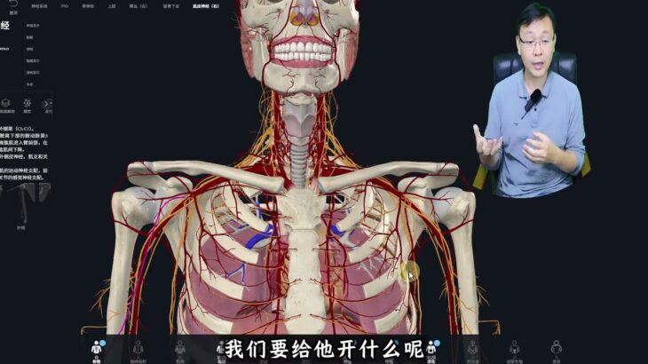 高血压、糖尿病为何可以对全身脏器无差别伤害？等有症状就晚了 高血压、糖尿病最好的治疗策略就是规律治疗，让指标平稳。#解剖学 #糖尿病 #高血压 #抖出健康知识宝藏 #健康科普破圈计划