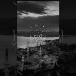 وحد الله وصلي عالنبي ❤️❤️ في التعليقات #نور_الشريف #قبيلة_الاشراف #viral #nft #الحرة #اكسبلور #نور