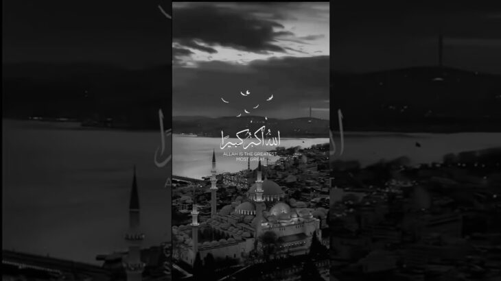 وحد الله وصلي عالنبي ❤️❤️ في التعليقات #نور_الشريف #قبيلة_الاشراف #viral #nft #الحرة #اكسبلور #نور