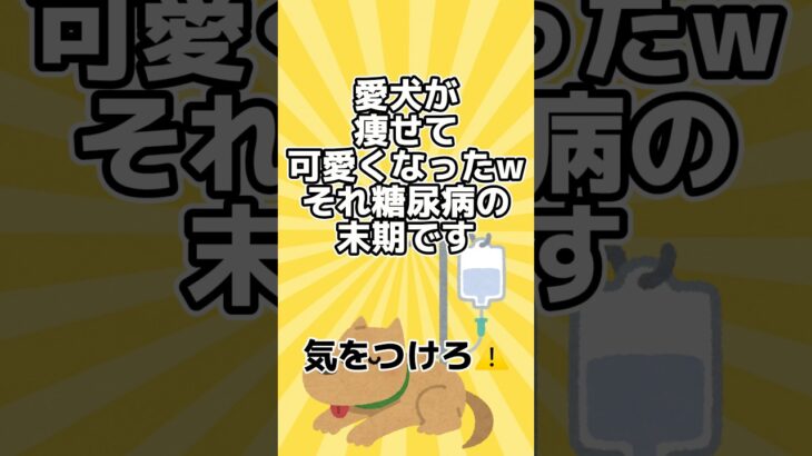 「痩せて可愛くなったw」それ糖尿病の末期やぞ 😱