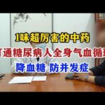 1味超厉害的中药，打通糖尿病人全身气血循环，降血糖、防并发症#中医谈健康#,健康养生,中医药