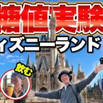 【ディズニー好き必見！】糖尿病内科医がディズニーランドで1日食べ歩きしたら血糖値がジェットコースターになりました…【ダイエット】