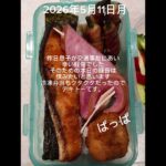#時短10分#糖尿病弁当#冷凍弁当#パパ弁当#お弁当 #しゃけのり弁#shorts