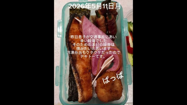 #時短10分#糖尿病弁当#冷凍弁当#パパ弁当#お弁当 #しゃけのり弁#shorts