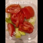 #糖尿病弁当#冷凍弁当#時短10分#パパ弁当#豚肉と長ネギのすき焼き弁当#shorts