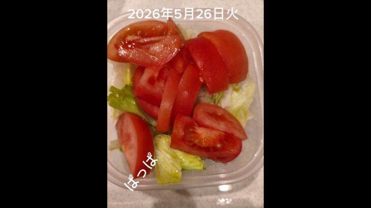 #糖尿病弁当#冷凍弁当#時短10分#パパ弁当#豚肉と長ネギのすき焼き弁当#shorts