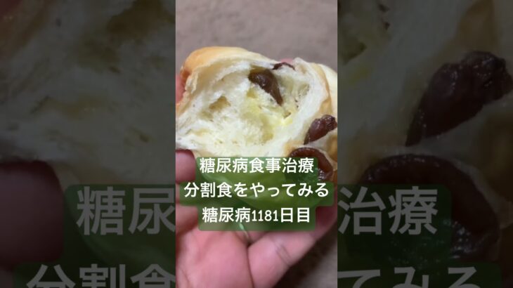 糖尿病1181日目 マンジャロやりながら分割食初日🍇レーズンパン糖質制限ダイエットと四毒抜きの結果2型糖尿病30歳で心筋梗塞2本詰まらせ心臓腐ってからの全食事記録