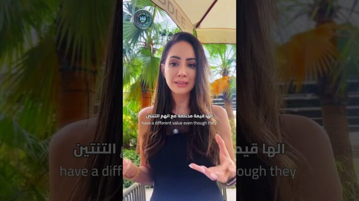 اليوم 147 | الـ NFT مش صور قرود 🖼️