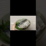 【糖尿病患者】 1日Vlog #糖尿病 #食事 #1日Vlog #Vlog #血糖値 #インスリンポンプ #1型糖尿病 #2型糖尿病 #その他糖尿病 #遺伝子疾患 #指定難病 #インスリン