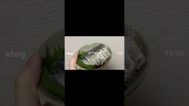 【糖尿病患者】 1日Vlog #糖尿病 #食事 #1日Vlog #Vlog #血糖値 #インスリンポンプ #1型糖尿病 #2型糖尿病 #その他糖尿病 #遺伝子疾患 #指定難病 #インスリン