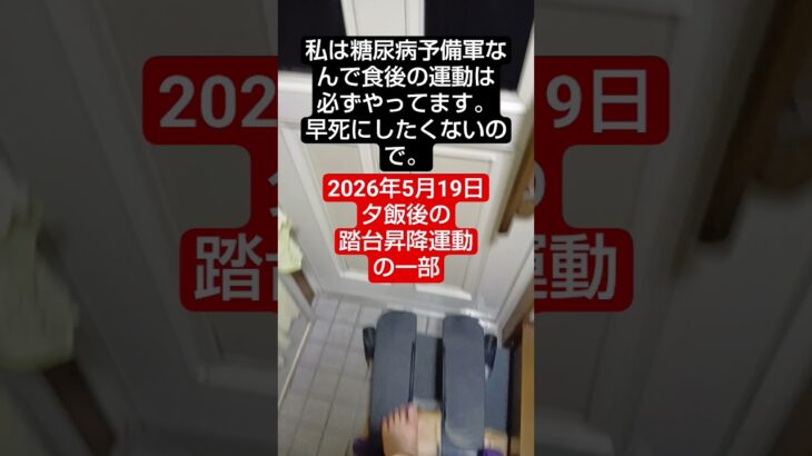 【食後運動】糖尿病予備軍なので夕飯後の運動をやってるよ　2026年5月19日の夕飯後の運動