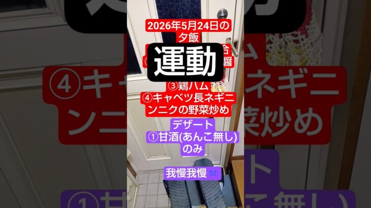 【運動】糖尿病予備軍による2026年5月24日の夕飯後の踏台昇降運動の一部 　　 #糖尿病予防 #糖尿病 #日常vlog