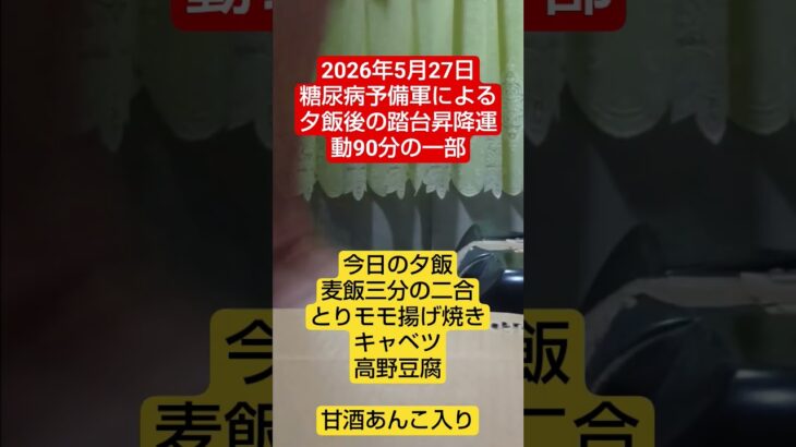 2026年5月27日 踏台昇降運動の一部　糖尿病予備軍による　 #糖尿病 #糖尿病予防 #shorts