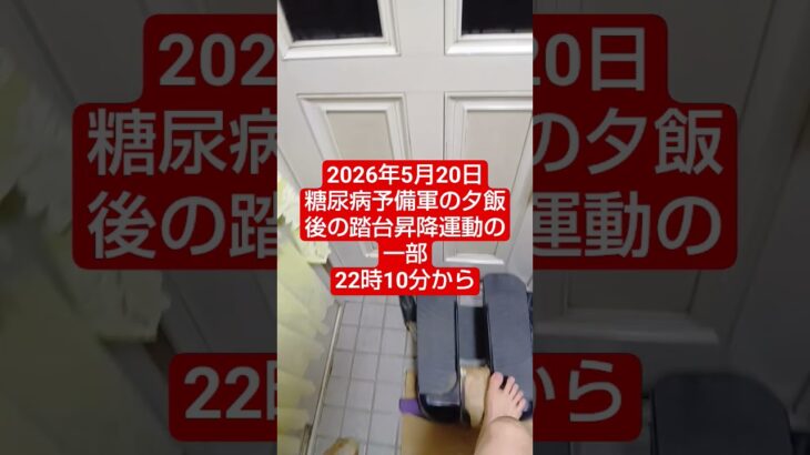 【踏台昇降運動2】2026年5月20日 糖尿病予備軍の夕飯後の踏台昇降運動の一部