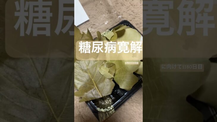 糖尿病寛解に向けて半額柏餅を食べる糖質制限ダイエットと四毒抜きの結果2型糖尿病30歳で心筋梗塞2本詰まらせ心臓腐ってからの全食事記録1180日目